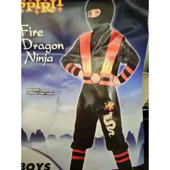 Fire Dragon Ninja - Picture 1 of 1